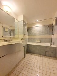 Cavenagh Lodge (D9), Apartment #456269981